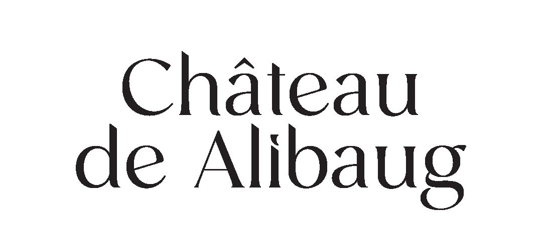 Hoabl Chateau de Alibaug